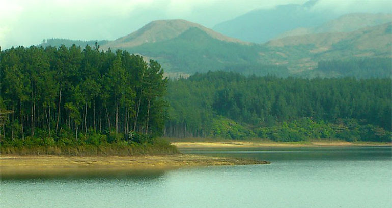 Reserva Forestal La Yeguada