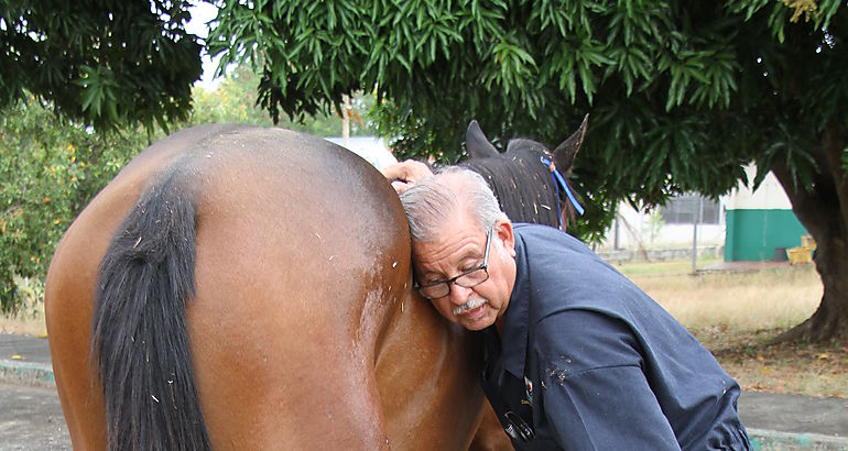Caballo