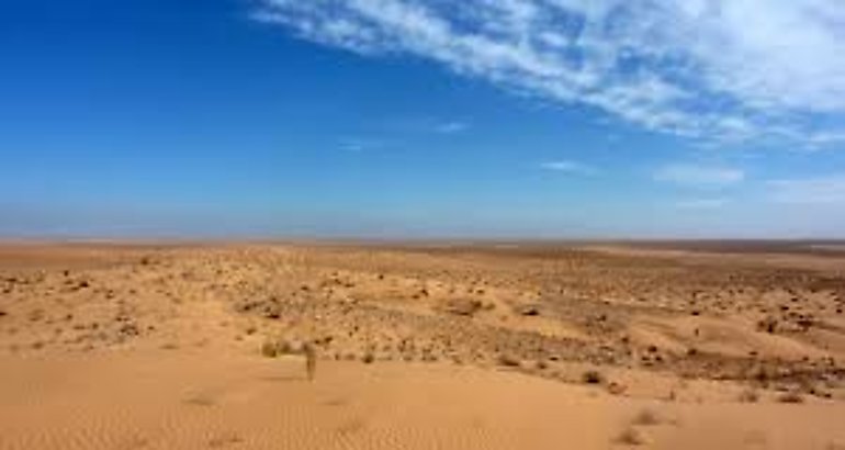 Desierto del Sahara 