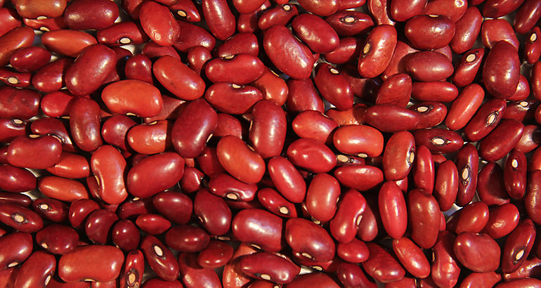 Frijoles