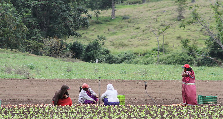Mujer rural