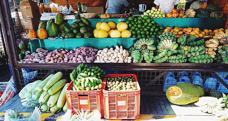 Alimentos orgnicos