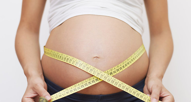 barriga