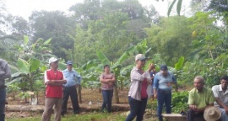 huertaagroecologica
