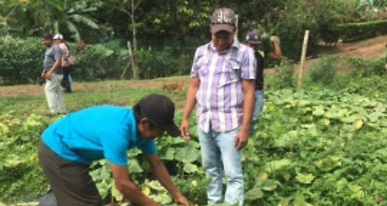 agricultores