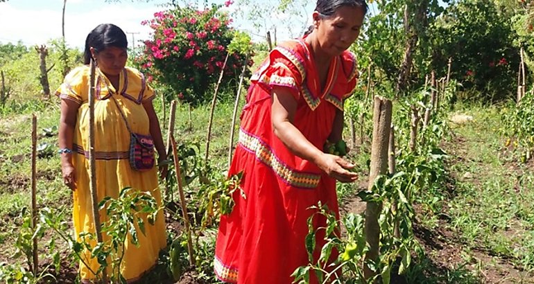 Mujeres rurales 