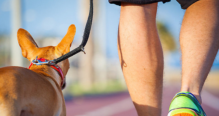 Correr con mascota 