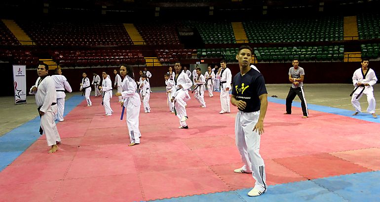 Taekwondo