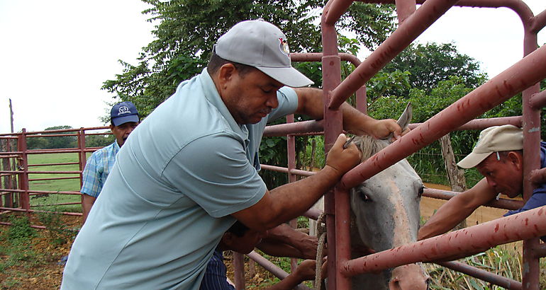 Ganadera 3