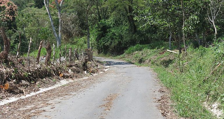 Carretera en mal estado