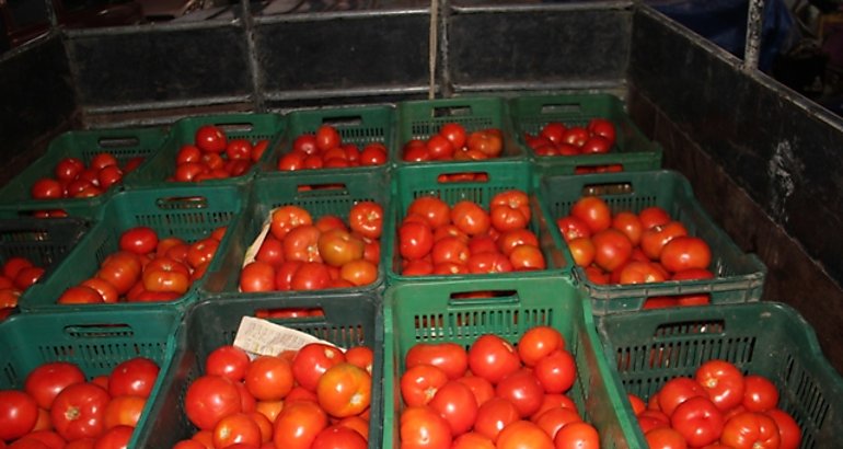 Tomates