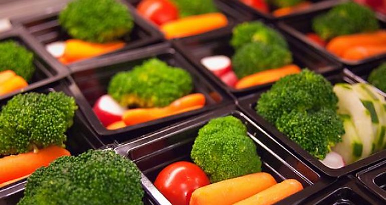 Alimentos 