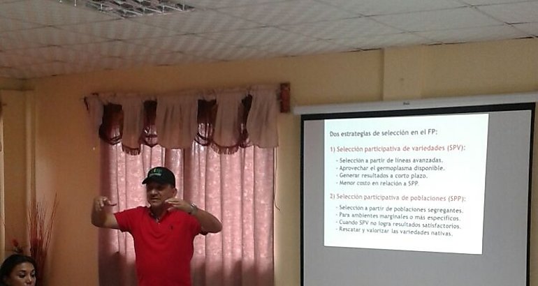 Plan estratgico para Rubro Poroto en Veraguas