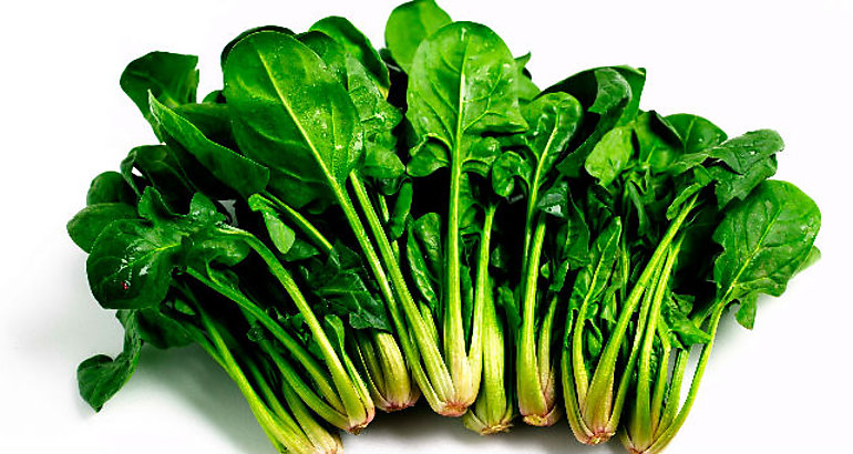 Espinacas
