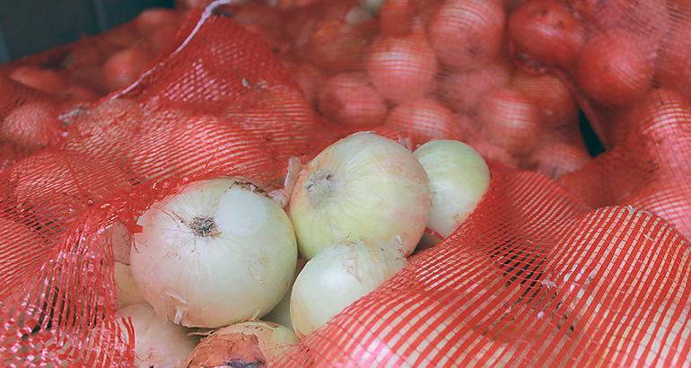 Cebollas