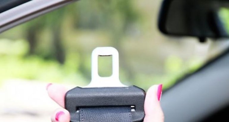 Cinturn de seguridad