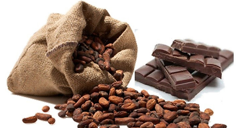 Cacao y chocolate