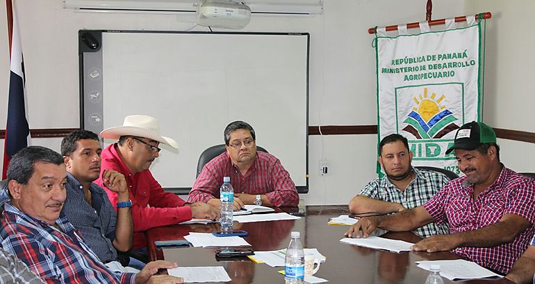 Productores de maz