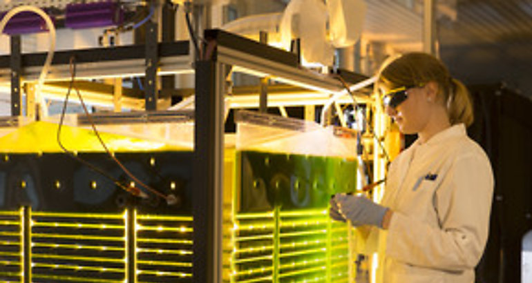 Bioeconoma para un futuro sostenible