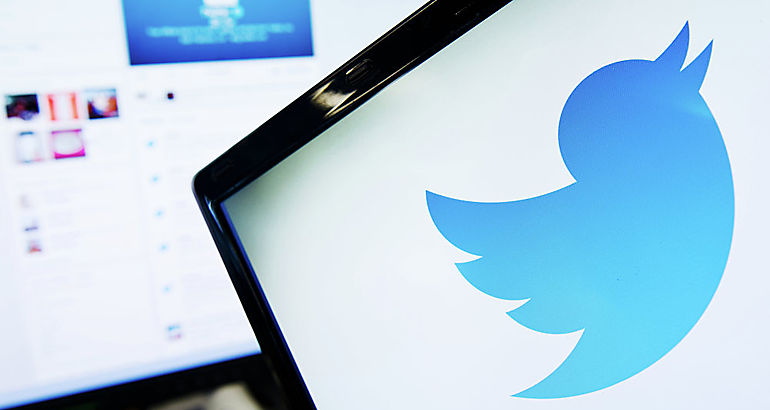 Pjaro Twitter