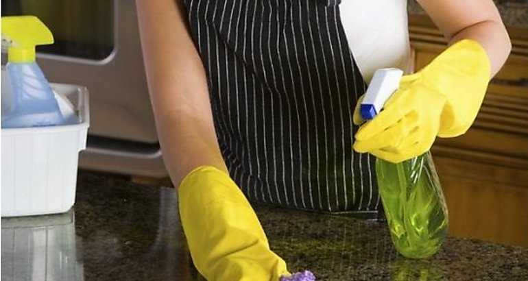 Servicio domestico