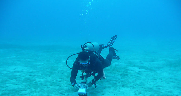 Cable submarino