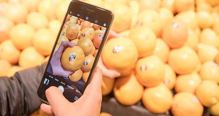 Naranjas  foto  mvil