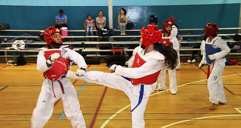 Taekwondo