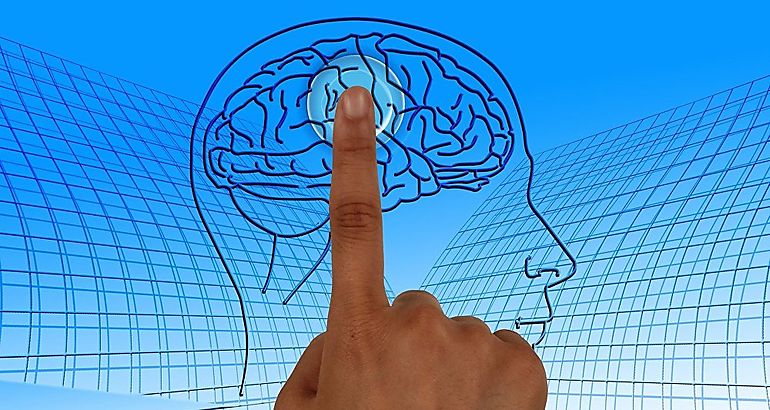 Descubren un interruptor en el cerebro para tratar la obesidad  cerebral