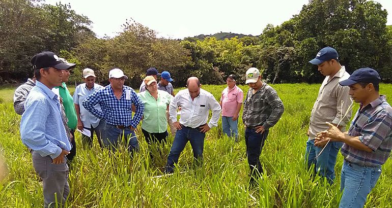 Productores