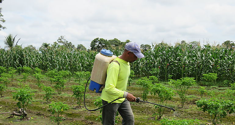 agropecuaria