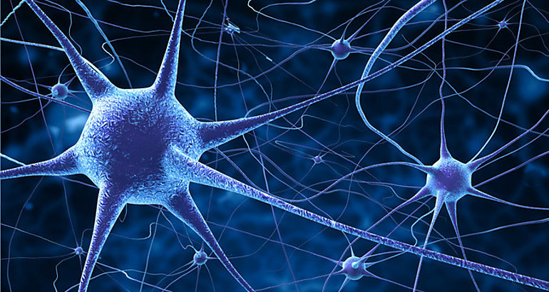 Neuronas 2