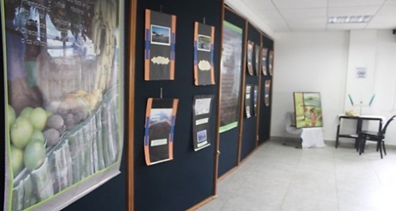 Exhibicin de arte y pintura