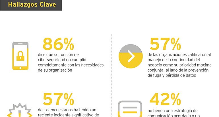 graficos ciberseguridad
