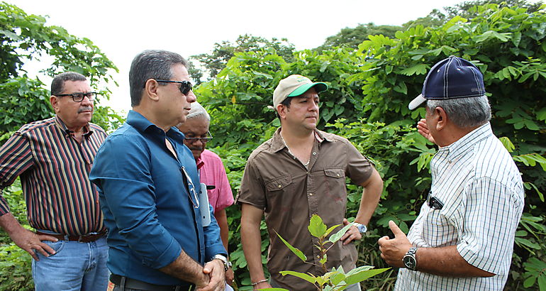 Viceministro de Desarrollo Agropecuario Esteban Girn