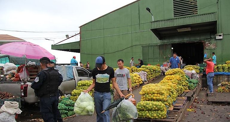 Productores de fruta