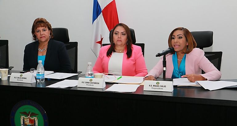 Proyecto de ley  Presidenta Asamblea Nacional