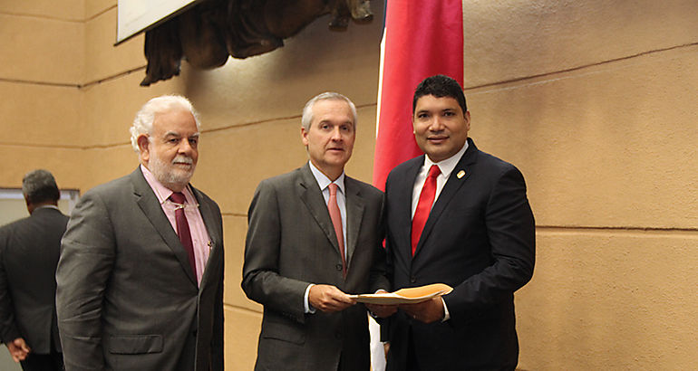 Modificaciones a la ley de electricidad  Ministro Alemn
