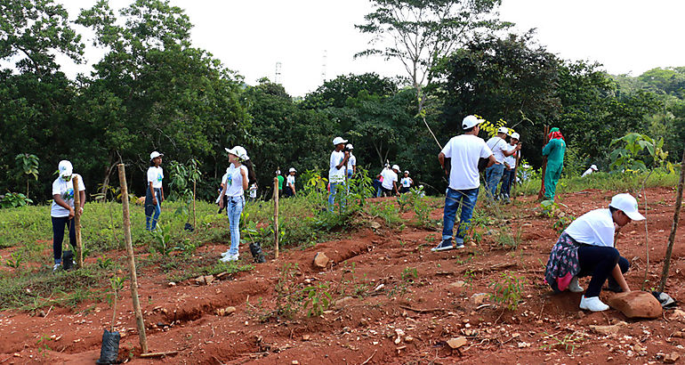 Consejo Municipal Infantil siembran 200 plantones