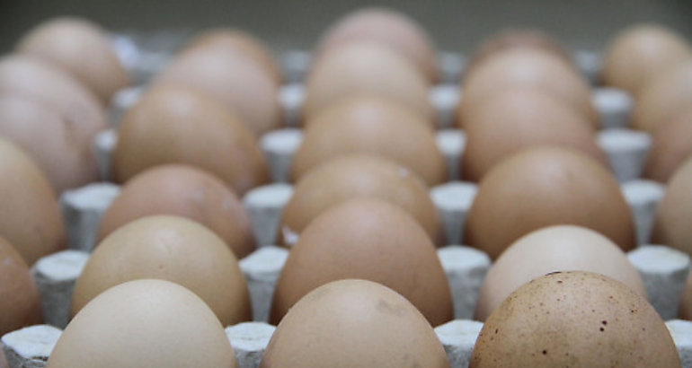 Huevos