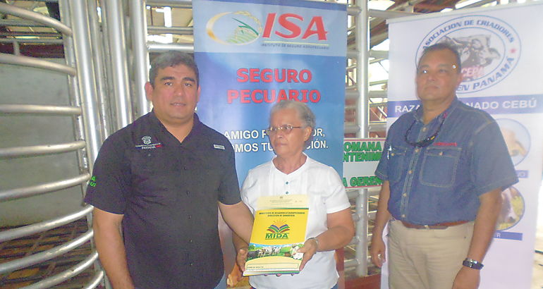 MIDA distribuye sementales bovinos en Chiriqu 