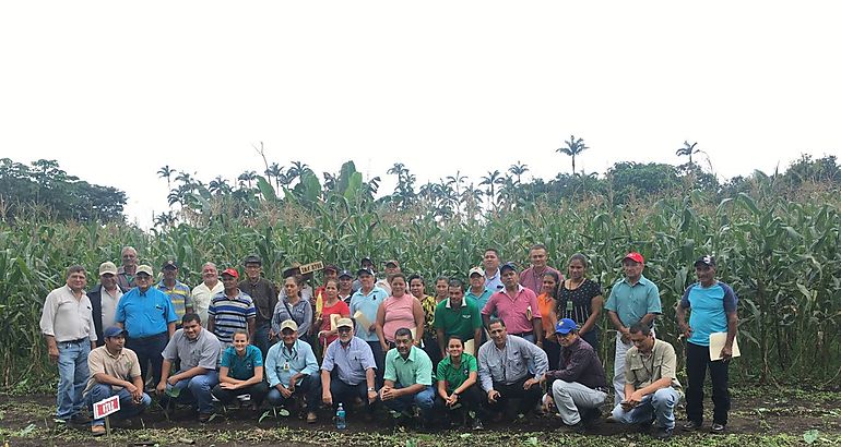 MIDA promueve en Chiriqu cultivo de granos en pequeas parcelas 