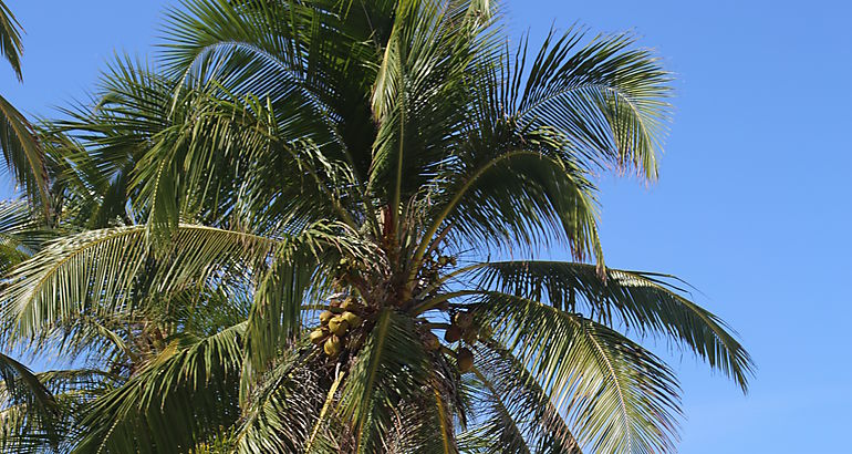 Turismo de playa 