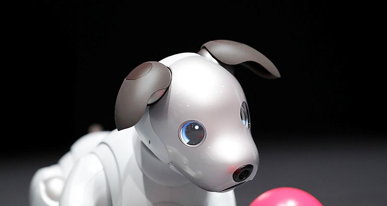Aibo