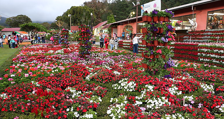 Feria de las Flores y del Caf 