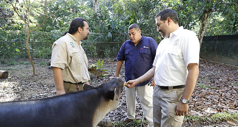 Centro de atencin para animales silvestres 