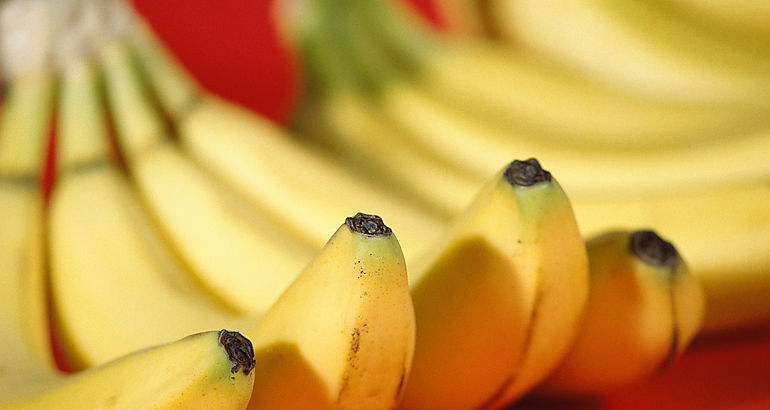 fruta