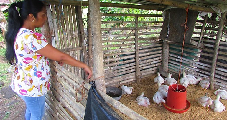 Mujer rural