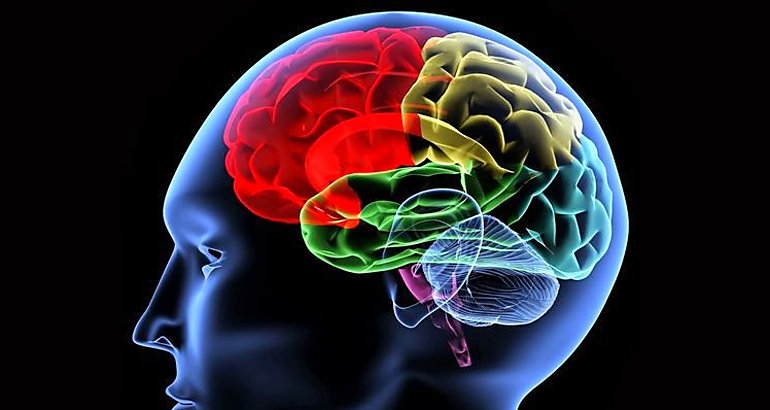 Cerebro