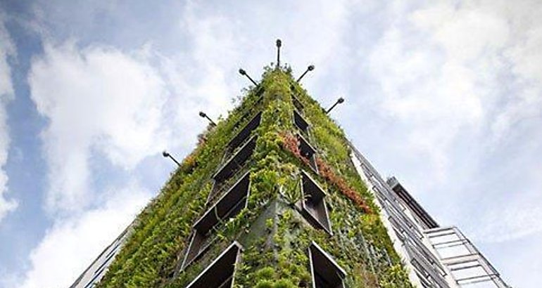 Jardines verticales